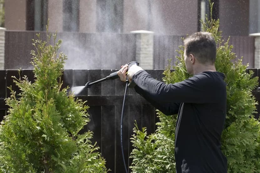Jak wyczyścić drewniany płot z mchu i zapobiec jego powrotowi
